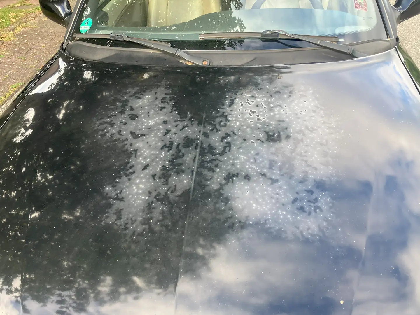 Saab 9-3 9-3 2.0i Turbo Cabrio SE Schwarz - 2