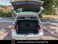 Volkswagen Golf VI Plus 1.4 TSI Comfortline AZV und Allwetterberei Gris - thumbnail 9