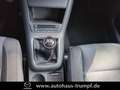 Volkswagen Golf VI Plus 1.4 TSI Comfortline AZV und Allwetterberei Gris - thumbnail 20