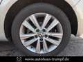 Volkswagen Golf VI Plus 1.4 TSI Comfortline AZV und Allwetterberei Gris - thumbnail 22