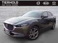 Mazda CX-30 G-180 Selection 2WD AHK ACC HUD 360° Grau - thumbnail 2