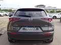 Mazda CX-30 G-180 Selection 2WD AHK ACC HUD 360° Grau - thumbnail 5