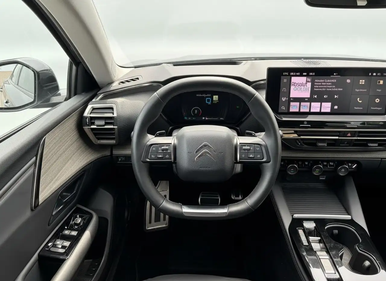 Citroen C5 X 1.6 Plug-in Hybrid 225 Shine LEER NAVI TREKHAA, миниатюра 19