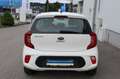 Kia Picanto 1,0 MPI Titan Weiß - thumbnail 6