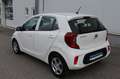 Kia Picanto 1,0 MPI Titan Weiß - thumbnail 5
