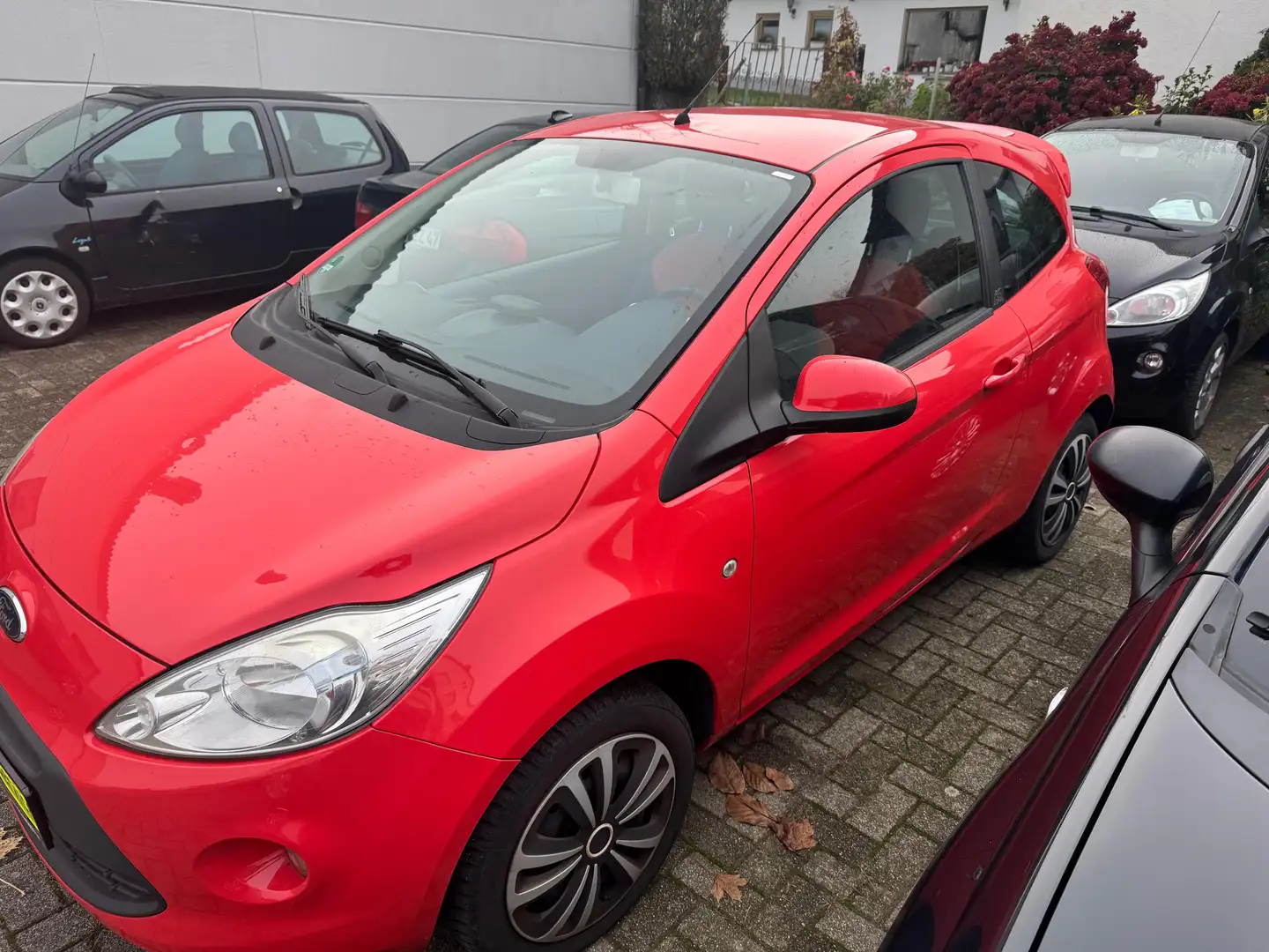 Ford Ka/Ka+ Titanium Klima, El Fenster Rot - 2