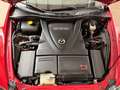 Mazda RX-8 RX-8 Renesis Revolution (Performance) Rot - thumbnail 4