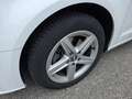 Audi A3 SPB 1.6 TDI 116 CV Business Blanc - thumbnail 23