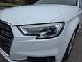Audi A3 SPB 1.6 TDI 116 CV Business Blanc - thumbnail 4