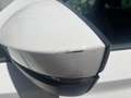 Skoda Kodiaq 7 POSTI Kodiaq 2.0 tdi Ambition dsg White - thumbnail 17