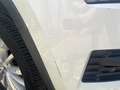 Skoda Kodiaq 7 POSTI Kodiaq 2.0 tdi Ambition dsg White - thumbnail 16