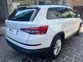 Skoda Kodiaq 7 POSTI Kodiaq 2.0 tdi Ambition dsg Bianco - thumbnail 6