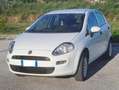 Fiat Punto Bianco - thumbnail 2