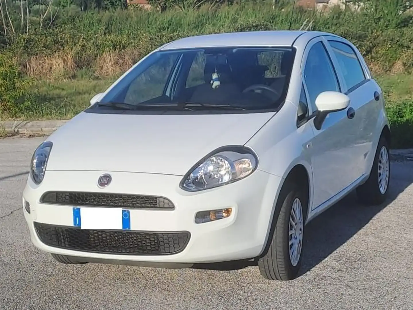 Fiat Punto Bianco - 2