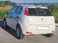 Fiat Punto Bianco - thumbnail 4