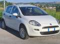 Fiat Punto Bianco - thumbnail 3