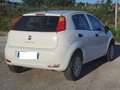Fiat Punto Bianco - thumbnail 1