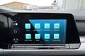 Volkswagen Golf 2,0 TDI Life DSG Grau - thumbnail 22