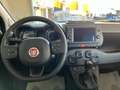 Fiat Panda 1.0 Hybrid Life - Km 0 con Touch 7" e Clima Auto Gris - thumbnail 10