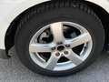 Ford C-Max 1.6 TDCi 115CV Titanium Business Wit - thumbnail 16