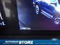 Ford Ranger Limited 4WD Doppelkabine|4x4|ALLRAD||AHK|TECHNOLOG Grau - thumbnail 25