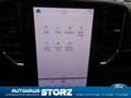 Ford Ranger Limited 4WD Doppelkabine|4x4|ALLRAD||AHK|TECHNOLOG Grau - thumbnail 15
