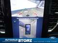 Ford Ranger Limited 4WD Doppelkabine|4x4|ALLRAD||AHK|TECHNOLOG Grau - thumbnail 14