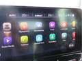 CUPRA Formentor Formentor 1.5 TSI NAVI app - PDC- Alu- Deels Leder Wit - thumbnail 12
