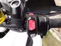 Triumph Tiger Explorer TIGER 1200 GT EXPLORER GARANTIE 1 AN, 14650 EUR Blanc - thumbnail 3