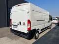 Fiat Ducato 35 2.3 MJT 140CV PLM-TM Furgone Iva esposta Bianco - thumbnail 3