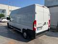 Fiat Ducato 35 2.3 MJT 140CV PLM-TM Furgone Iva esposta Bianco - thumbnail 4