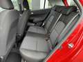 Kia Picanto 1.0 CVVT First Edition 75dkm Navigatie Climate Con Rood - thumbnail 7
