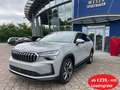 Skoda Kodiaq 2.0 TDI 4x4 DSG Selection Massage/HUD/Trittbrett Grau - thumbnail 1