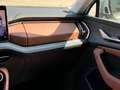 Skoda Kodiaq 2.0 TDI 4x4 DSG Selection Massage/HUD/Trittbrett Grau - thumbnail 20