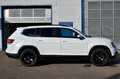 Volkswagen Touareg Atlas 3.6 V6 4x4  LEDER/NAVI/PANO/AHK/FENDER Weiß - thumbnail 8