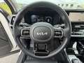 Kia Sorento 1.6 T-GDI Platinum 4WD *7SITZER*HEADUP*VOLL* Weiß - thumbnail 19