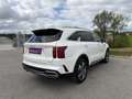 Kia Sorento 1.6 T-GDI Platinum 4WD *7SITZER*HEADUP*VOLL* Weiß - thumbnail 10