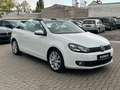 Volkswagen Golf VI Cabriolet  1,4*Leder*Bi-Xen*Pdc*Navi* Blanco - thumbnail 6