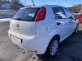Fiat Punto Punto III 2012 5p 1.3 mjt Lounge s 95 CV 5 PORTE Weiß - thumbnail 2