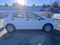 Fiat Punto Punto III 2012 5p 1.3 mjt Lounge s 95 CV 5 PORTE Weiß - thumbnail 6