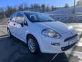 Fiat Punto Punto III 2012 5p 1.3 mjt Lounge s 95 CV 5 PORTE Weiß - thumbnail 4