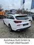 Hyundai i30 I30KOMBI ADVANTAGE+PLUS-PAKET/WINTERRÄDER Blanc - thumbnail 4