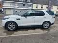 Land Rover Discovery 5 SE SD4 *STEUERKETTE defekt! Alb - thumbnail 5
