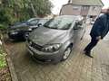 Volkswagen Golf Plus 1.6 TDI rabbit - thumbnail 5