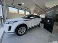 Land Rover Range Rover Evoque RR Evoque 2.0D L.Flw 150 AWD Auto S Weiß - thumbnail 3