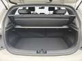 Kia Picanto PICANTO 1.0 AUTO. (AMT) GT-LINE MJ25 LED SITZH. NA Beige - thumbnail 15
