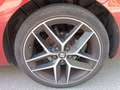 SEAT Leon León ST 2.0TDI CR S Rojo - thumbnail 12