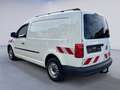 Volkswagen Caddy Maxi Kasten 2.0 TDI +Werkstatteinbau+STHZ+Navi+AHK Weiß - thumbnail 4