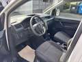 Volkswagen Caddy Maxi Kasten 2.0 TDI +Werkstatteinbau+STHZ+Navi+AHK Weiß - thumbnail 8