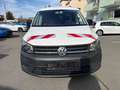 Volkswagen Caddy Maxi Kasten 2.0 TDI +Werkstatteinbau+STHZ+Navi+AHK Weiß - thumbnail 22